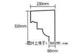 产品分解图型 - 檐口线，型号：SX311-YK-3，规格：230x310mm(3) - 张家界三象EPS建材 zjj.sx311.cc